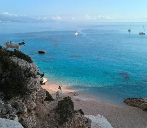 natura incontaminata della spiaggia di Cala Goloritze